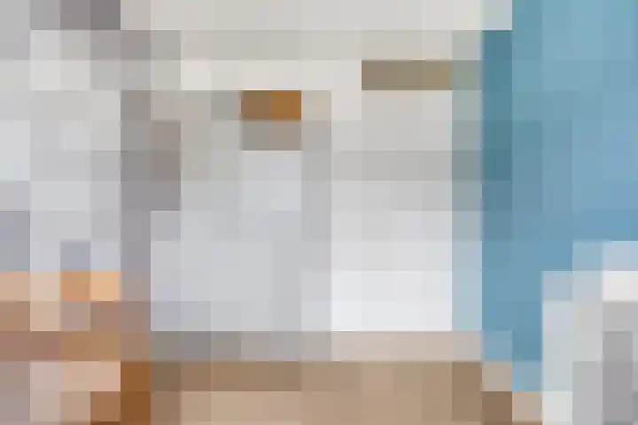 De Boogerd 12 Zuilichem thumbnail 26