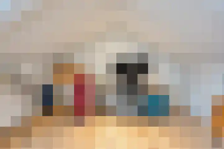 De Boogerd 12 Zuilichem thumbnail 27