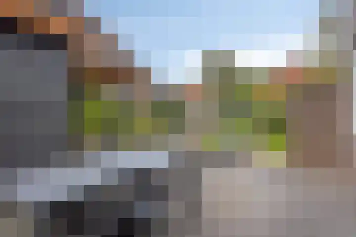De Boogerd 12 Zuilichem thumbnail 32