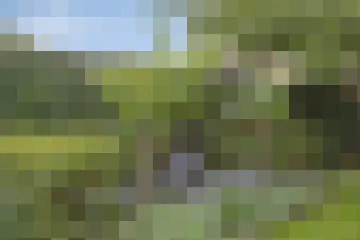 De Boogerd 12 Zuilichem thumbnail 34