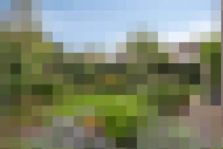 De Boogerd 12 Zuilichem thumbnail 35