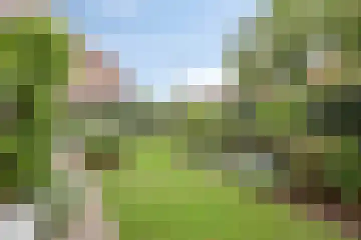 De Boogerd 12 Zuilichem thumbnail 36