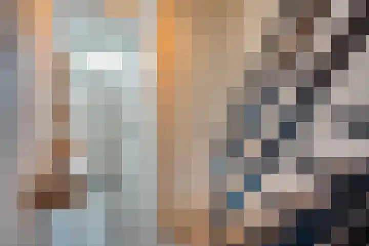 De Boogerd 12 Zuilichem thumbnail 4