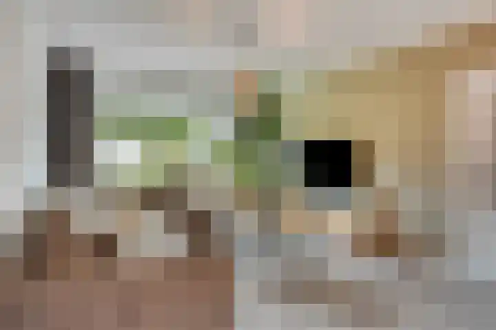 De Boogerd 12 Zuilichem thumbnail 6