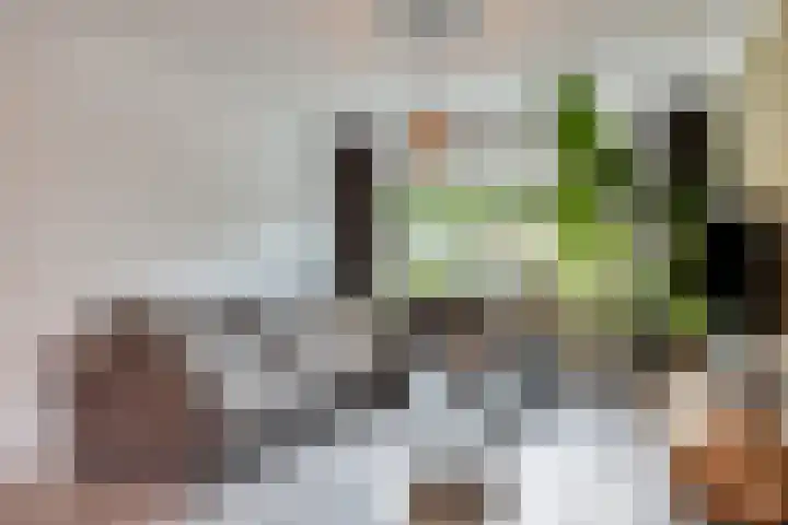 De Boogerd 12 Zuilichem thumbnail 7