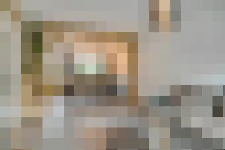 De Boogerd 12 Zuilichem thumbnail 8