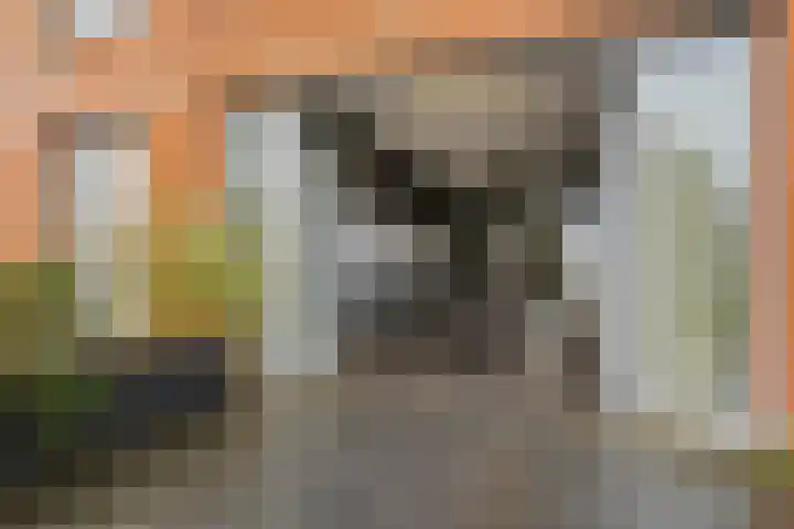 De Boomgaard 50 Assen thumbnail 5