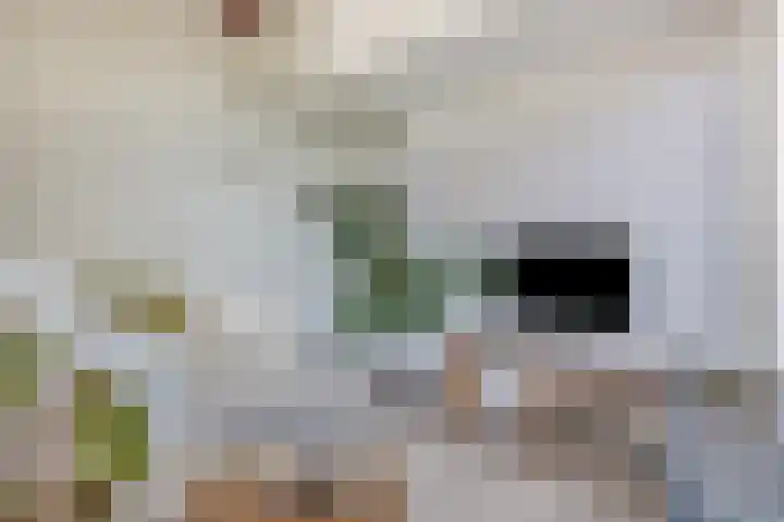 De Boomgaard 7 Zutphen thumbnail 10