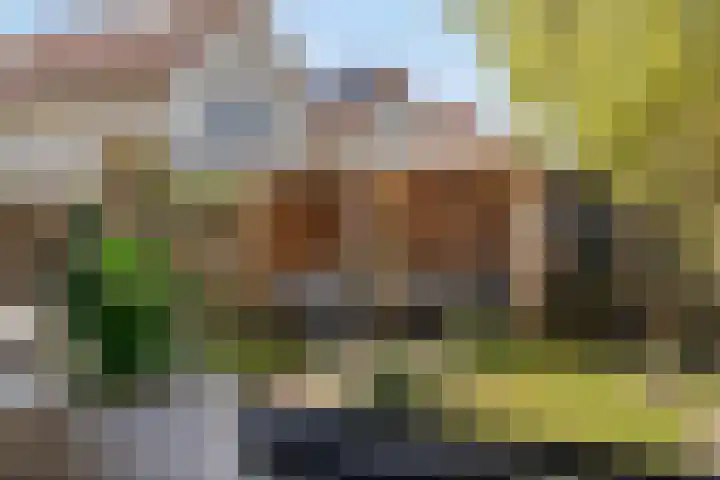 De Boomgaard 7 Zutphen thumbnail 12