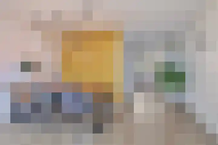 De Boomgaard 7 Zutphen thumbnail 15