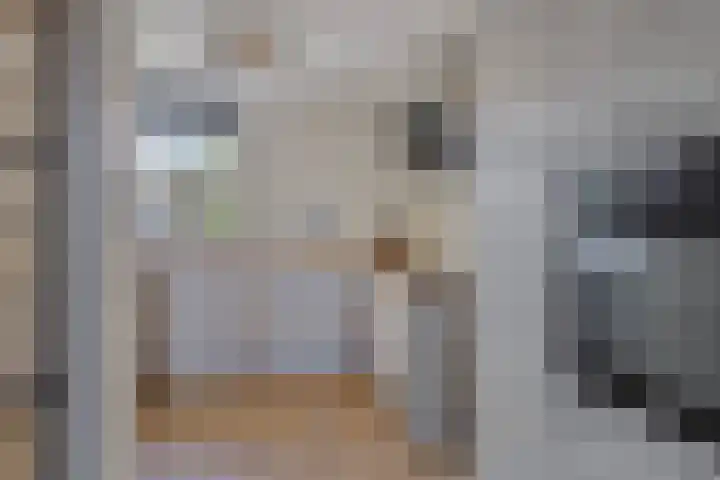 De Boomgaard 7 Zutphen thumbnail 18