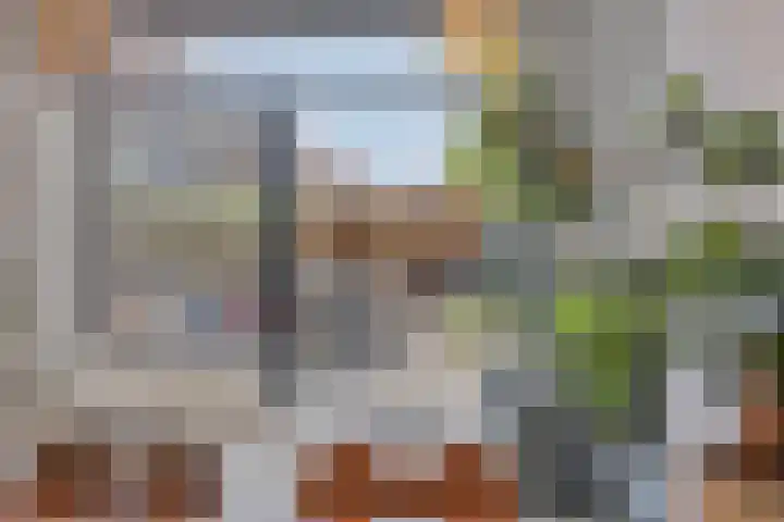 De Boomgaard 7 Zutphen thumbnail 23