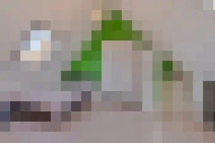 De Boomgaard 7 Zutphen thumbnail 34