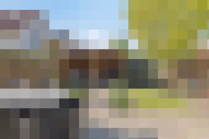 De Boomgaard 7 Zutphen thumbnail 38