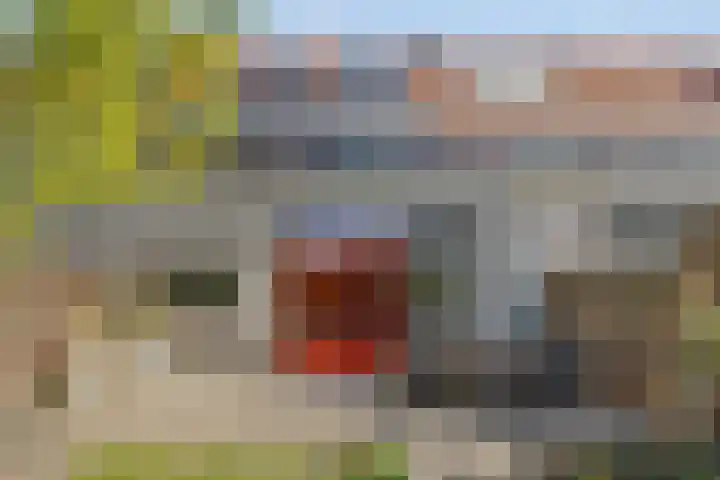 De Boomgaard 7 Zutphen thumbnail 40