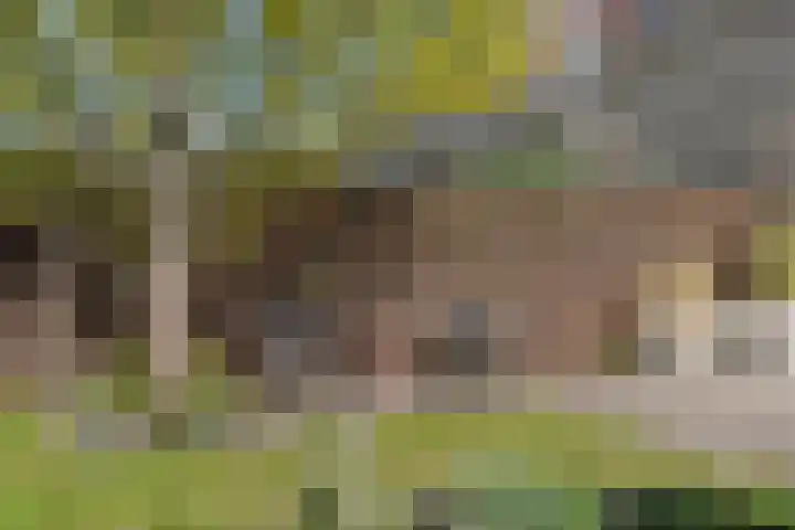 De Boomgaard 7 Zutphen thumbnail 41