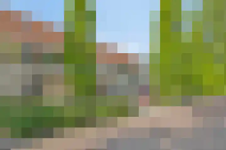 De Boomgaard 7 Zutphen thumbnail 48