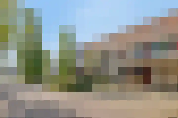 De Boomgaard 7 Zutphen thumbnail 5