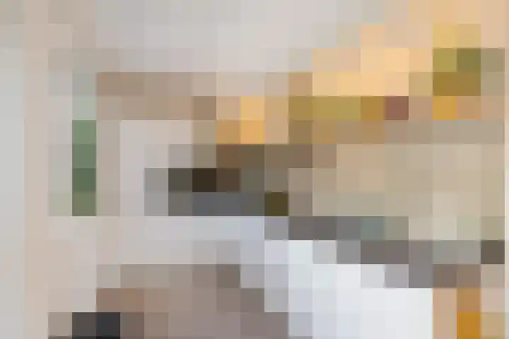 de Boomgaard 8 Oostwold thumbnail 10