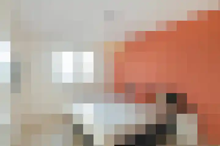 de Boomgaard 8 Oostwold thumbnail 20
