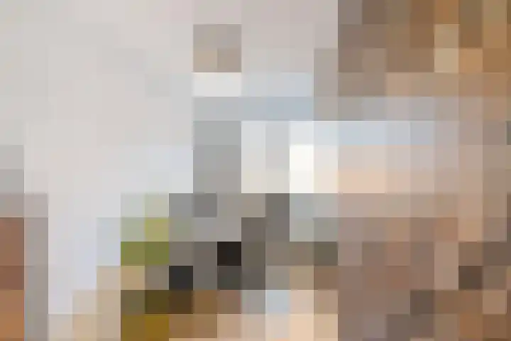 de Boomgaard 8 Oostwold thumbnail 22