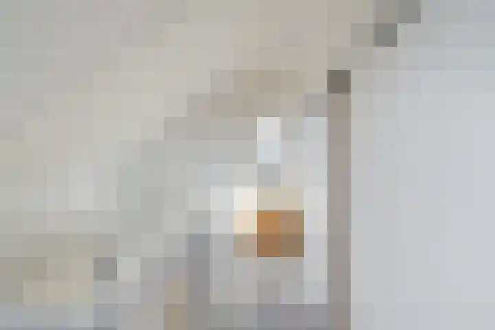 de Boomgaard 8 Oostwold thumbnail 30