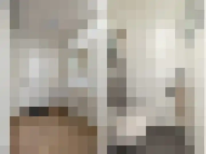 De Border 10 Zutphen thumbnail 13