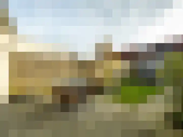 De Border 10 Zutphen thumbnail 24