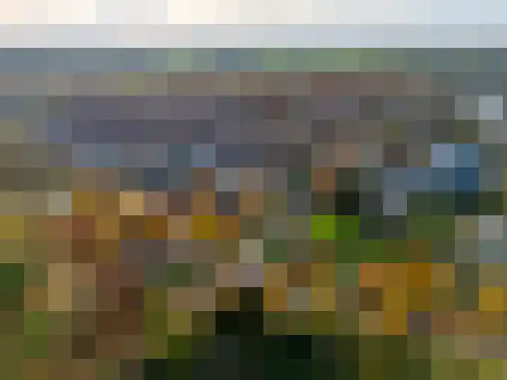 De Border 10 Zutphen thumbnail 31