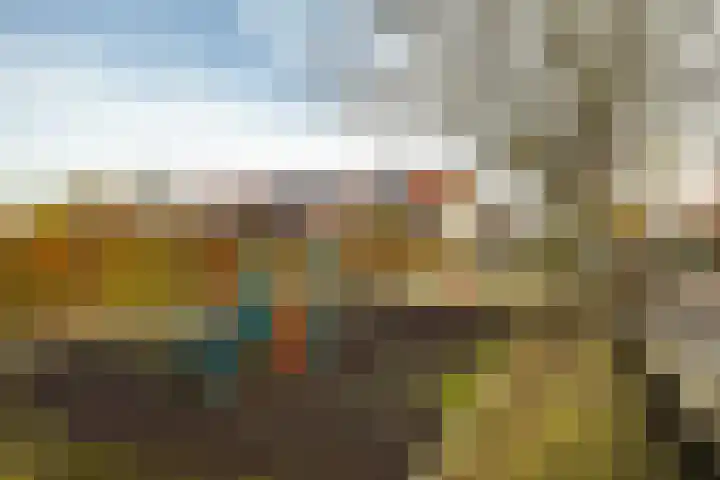De Border 10 Zutphen thumbnail 32