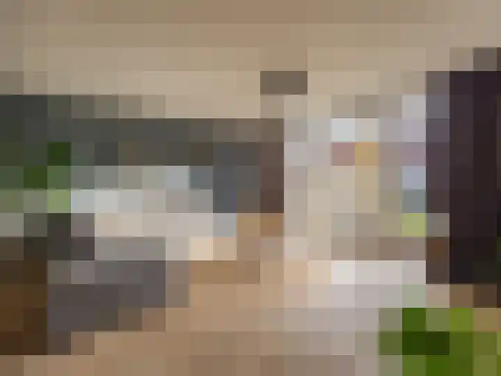 De Border 10 Zutphen thumbnail 4