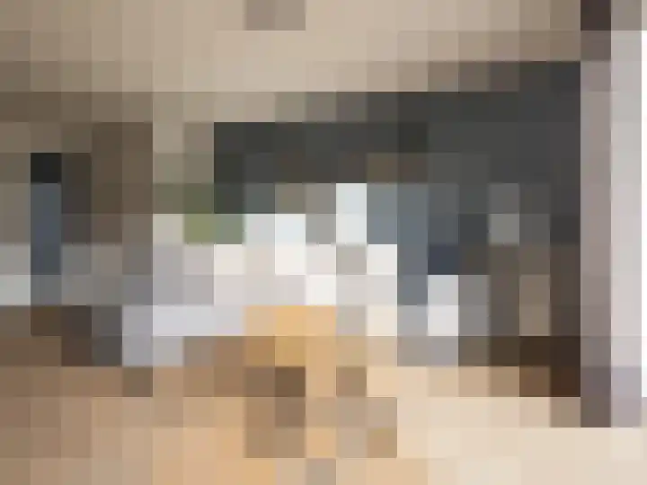 De Border 10 Zutphen thumbnail 5