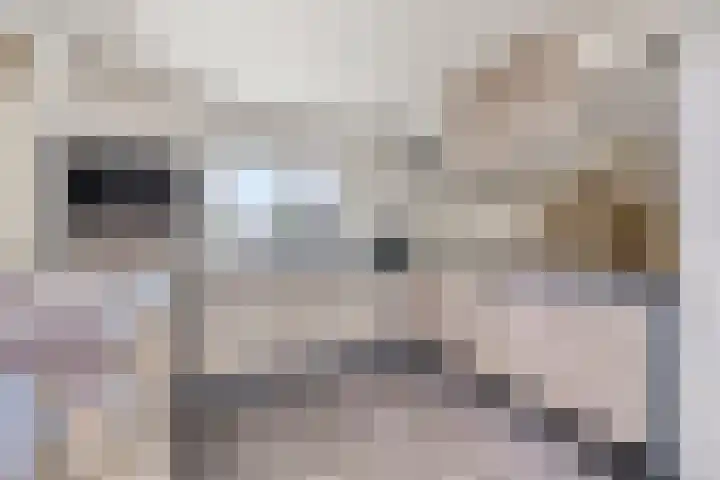 De Bosberg 7 Boekel thumbnail 10