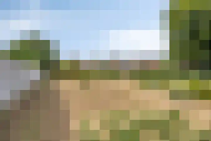 De Bosberg 7 Boekel thumbnail 11