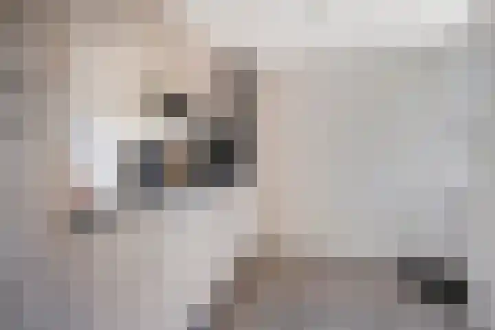 De Bosberg 7 Boekel thumbnail 12