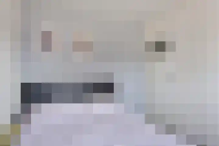 De Bosberg 7 Boekel thumbnail 17
