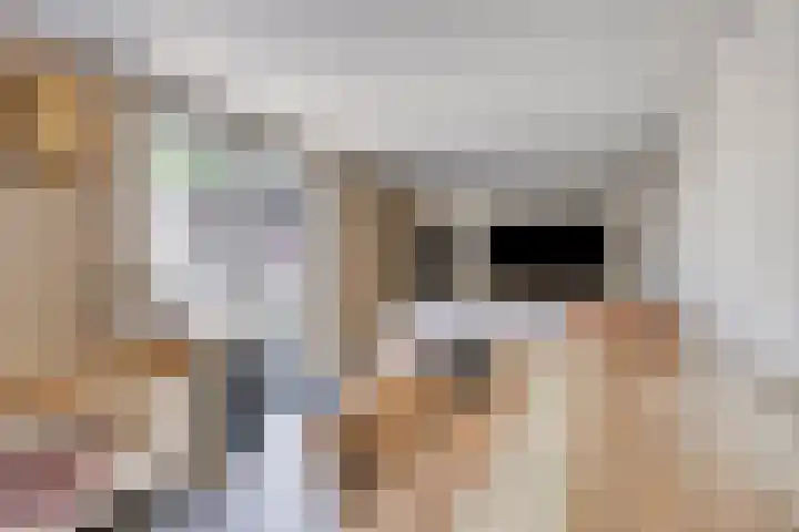 De Bosberg 7 Boekel thumbnail 26