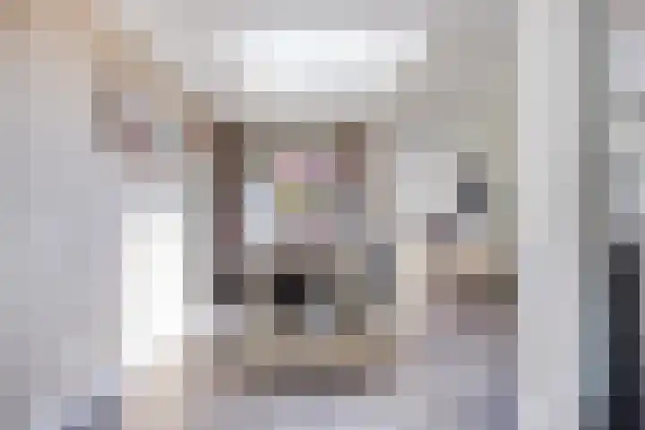 De Bosberg 7 Boekel thumbnail 9
