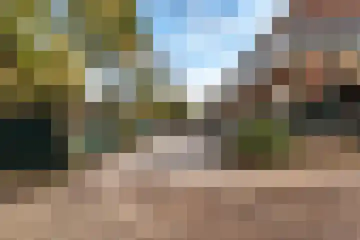 de Boskamp 19 Baarn thumbnail 27
