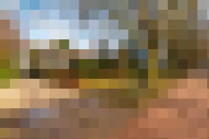 de Boskamp 19 Baarn thumbnail 28