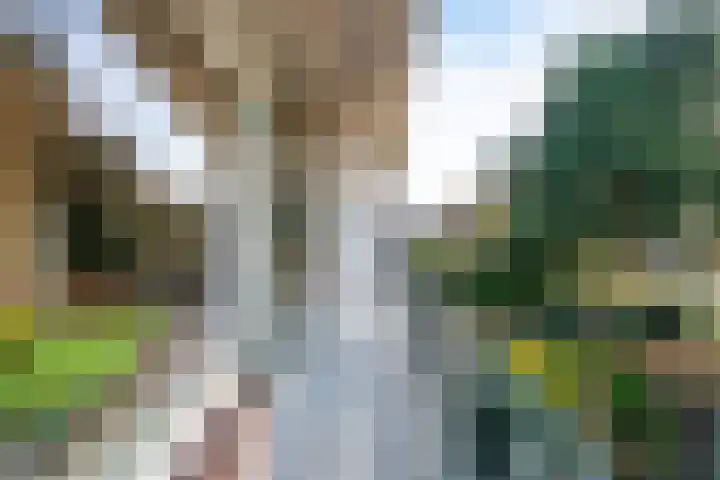 de Boskamp 19 Baarn thumbnail 8