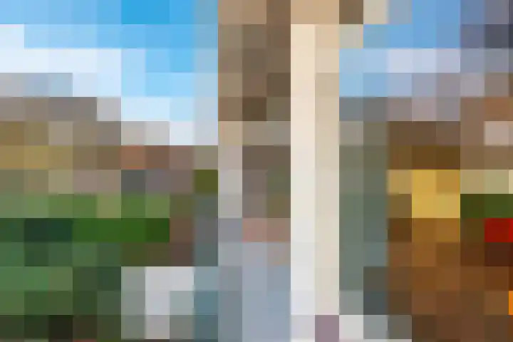 de Boskamp 19 Baarn thumbnail 9