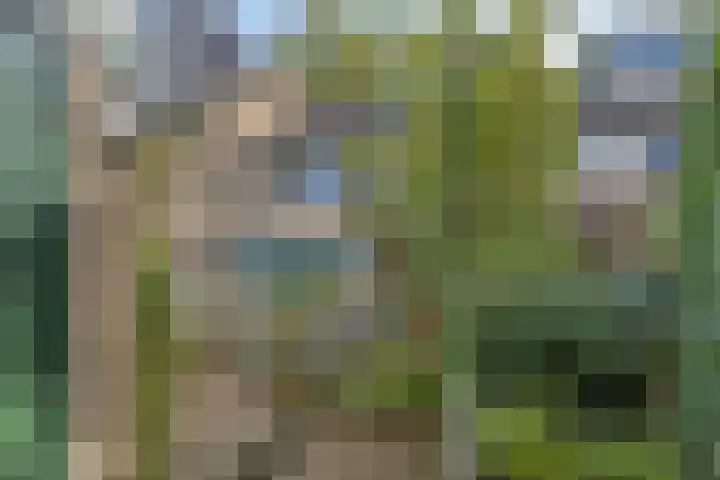 De Boskamp 32 Hoogland thumbnail 27
