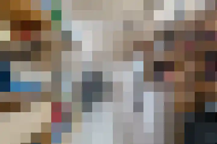 De Boterbloem 11 Budel thumbnail 13