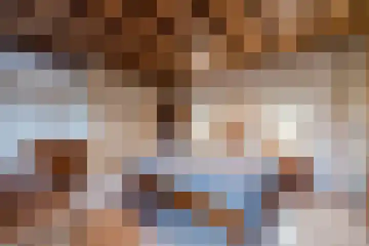 De Boterbloem 11 Budel thumbnail 17