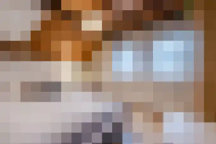 De Boterbloem 11 Budel thumbnail 19
