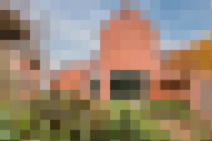 De Boterbloem 11 Budel thumbnail 27