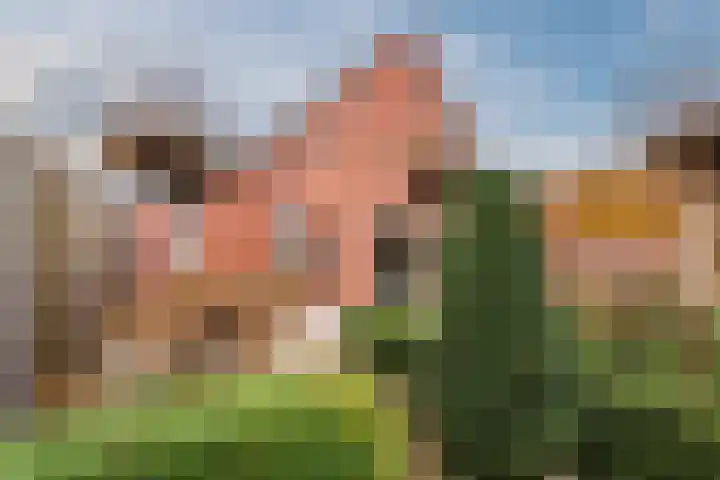 De Boterbloem 11 Budel thumbnail 28