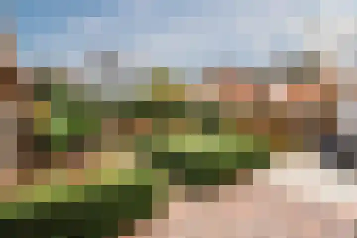 De Boterbloem 11 Budel thumbnail 30