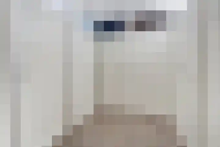 De Botteloef 26 Dronten thumbnail 20